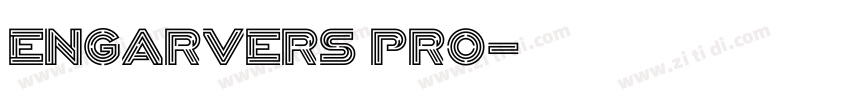 engarvers pro字体转换